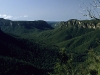 Govetts Gorge nahe Blackheath in den Blue Mountains, New Sputh Wales, Australien