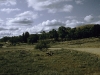 Im Outback in den Flinders Ranges, New South Wales, Australien