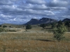 Wilpena Pound in den Flinders Ranges, South Australia, Australien