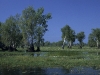 Sumpflandschaft bei Yellow Waters im Kakadu Nationalpark, Northern Territory, Australien