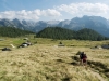 Blick über die Gotzenalm auf das Steinerne Meer und das Hagengebirge, Bayern, Deutschland