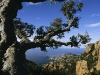Wanderung am Cap Roux, Cote d'Or im Estérel-Massif, Cote d'Azur, Frankreich