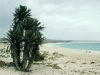 Am Strand von Praia de Chave, Boavista, Kapverdische Inseln