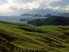Coromandel Peninsula, Nordinsel, Neuseland