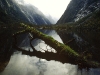 Milford Track, Fjordland, Neuseeland