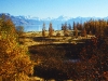 Lake Pukaki, Mt.Cook und die neuseeländischen Südalpen, Neuseeland