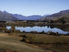 Bei Arrowtown in den Alpen, Otago, Südinsel, Neuseeland