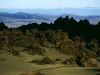 Oturere Valley, Tongariro Nationalpark, Nordinsel Neuseeland