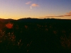 Sonnenaufgang über der Kaimanawa Range, Tongariro Nationalpark, Nordinsel Neuseeland