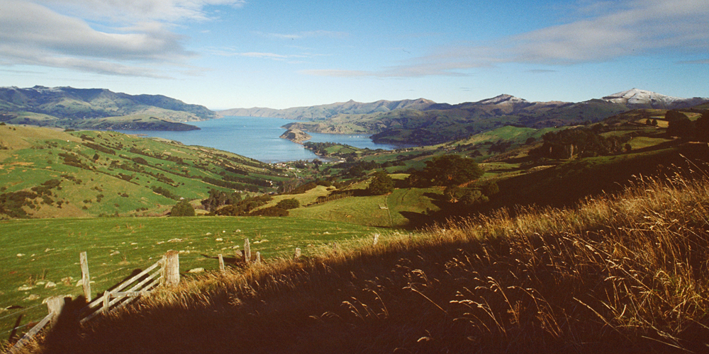 Auf der Höhenstrasse der Banks Peninsula unterwegs in die von Franzosen gegründete Siedlung Akaroa, Canterbury, Südinsel Neuseeland