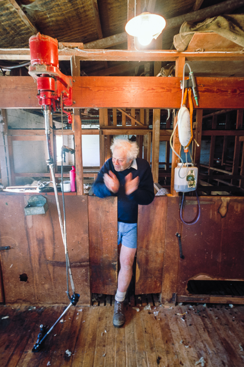 Ein neuseeländischer Farmer mit seiner Schafschermaschine, Lyttelton, Südinsel Neuseeland