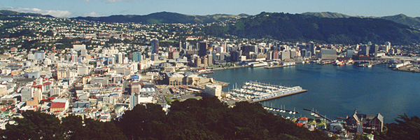 Blick vom Mt. Voctoria auf Wellington