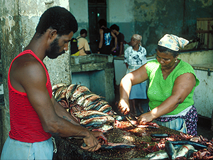 Mindelo Fischmarkt