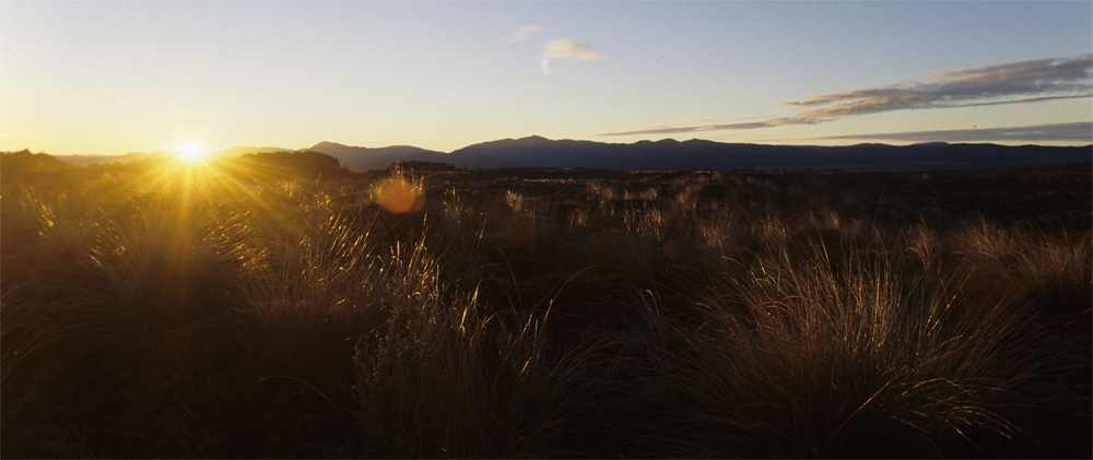 Sonnenaufgang über der Rangipo-Wüste zwischen Ruapehu und Kaimanawa Range, Tongariro, Neuseeland