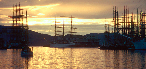 Der Hafen von Bergen mit Großseglern während des Cutty Sark Tall Ship Races 1993 in Bergen, Norwegen