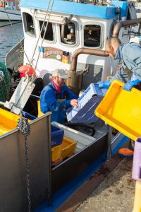 Fischer laden Kisten für den Fischfang auf das Boot im Hafen von Vitte auf Hiddensee