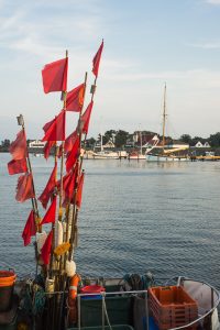 Flaggen und Bojen für Fangnetze auf einem Fischerboot auf Hiddensee