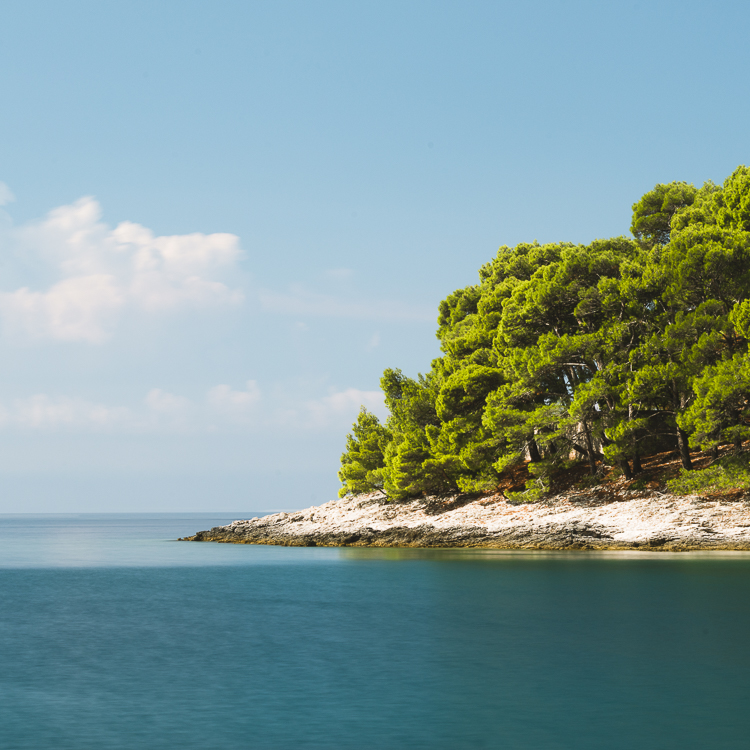Landzunge mit Felsenküste, Pinienwald und türkisfarbenem Meer an der Krivica-Bucht auf der Insel Lošinj, Kvarner Bucht, Kroatien