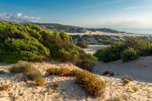 Dünenlandschaft am Strand von Piscinas, Costa Verde, Sardinien, Italien