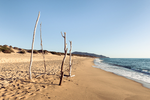 Vier Holzstangen stecken im Sand am Naturstrand bei Piscinas an der Costa Verde, Sardinien, Italien