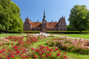 Blühende Rosenbeete im Park vor der Backsteinfassade von Schloss Rosenholm, Jütland, Dänemark