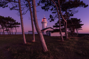 Der Leuchtturm Sletterhage hinter Kieferbäumen in der lilafarbenen Abenddämmerung, Djursland, Jütland, Dänemark