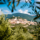 Blick durch Olivenzweige auf die Altstadt von Assisi mit der Basilika des Hl. Franziskus und der Festung am Hang des Monte Subasio, Umbrien, Italien