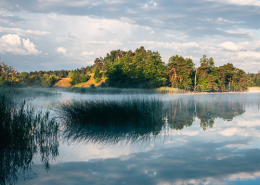 Gewitterwolken über den Bergen und Nebel über dem Wasser an einem sonnigen Sommermorgen am Fohnsee, Naturschutzgebiet Osterseen, Bayern, Deutschland