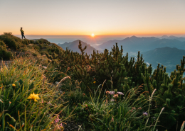 Sonnenaufgang auf dem Blumenberg Gipfel Geigelstein in den Chiemgauer Alpen, Bayern, Deuschland