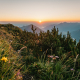 Sonnenaufgang auf dem Blumenberg Gipfel Geigelstein in den Chiemgauer Alpen, Bayern, Deuschland
